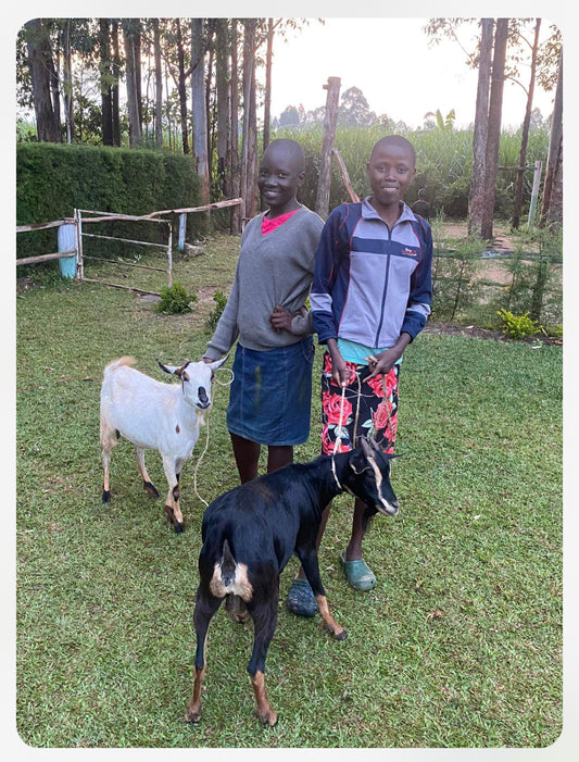 Goats by Grace